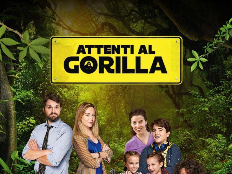 Attenti al gorilla