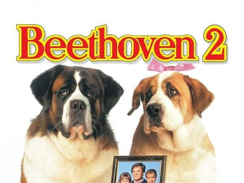 Beethoven 2