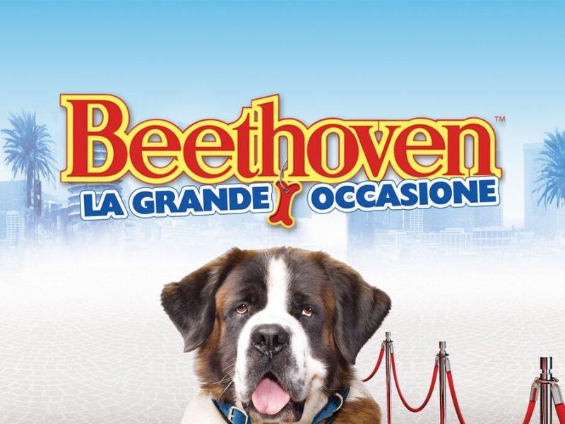 Beethoven - La grande occasione