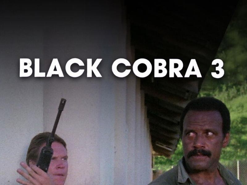 Black Cobra 3