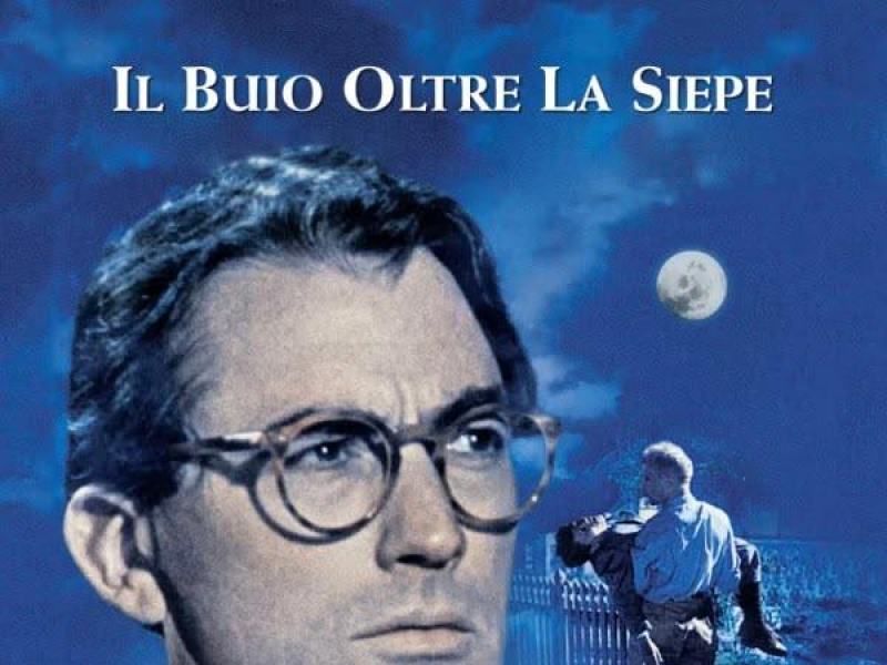 Il buio oltre la siepe