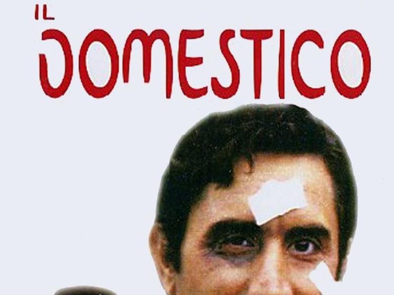 Il domestico