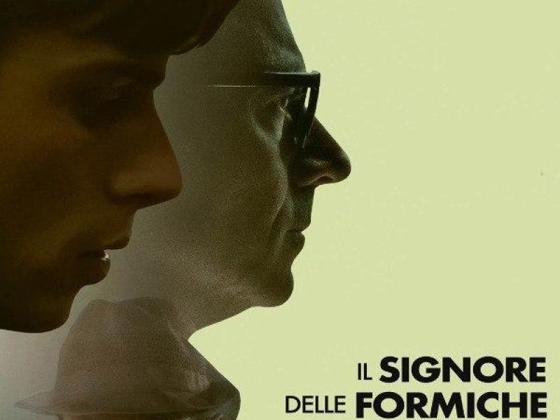 Il signore delle formiche