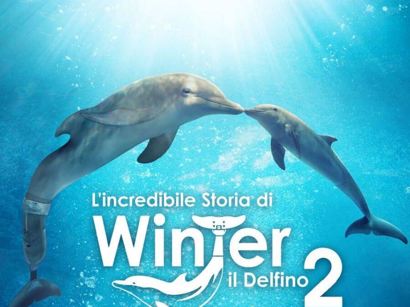 L'incredibile storia di Winter il..