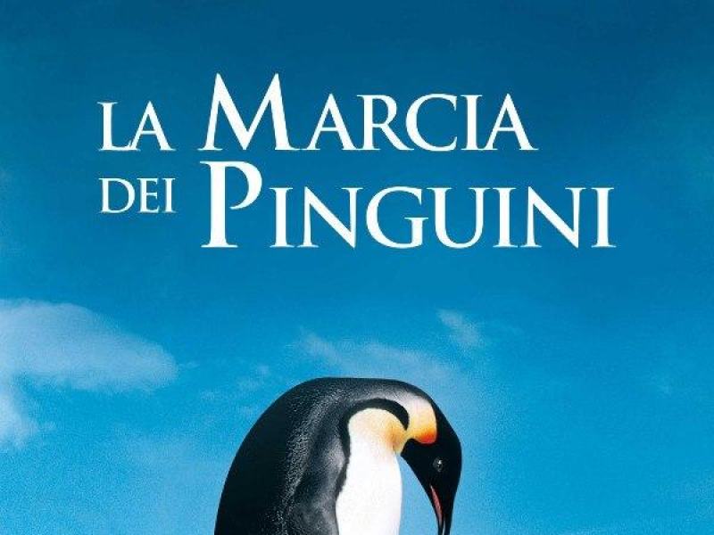 La marcia dei pinguini