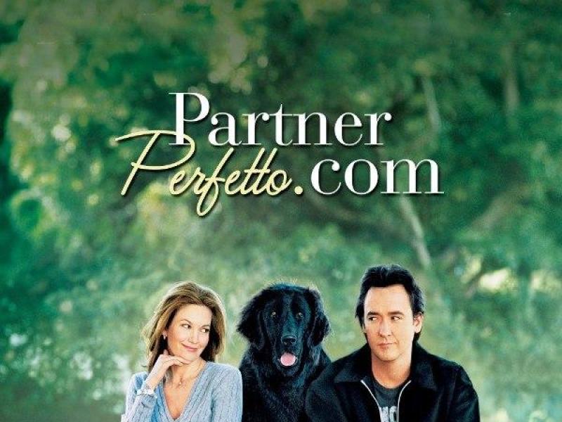 Partnerperfetto.com