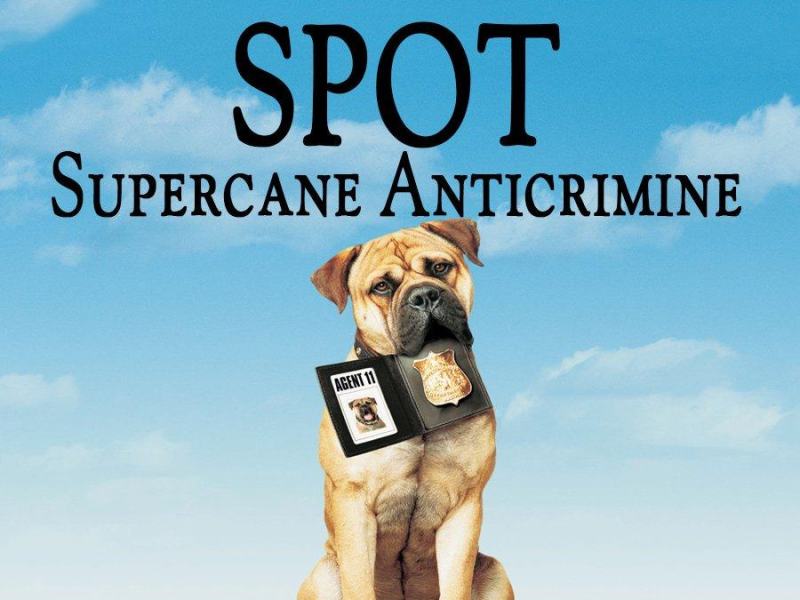 Spot - Supercane anticrimine