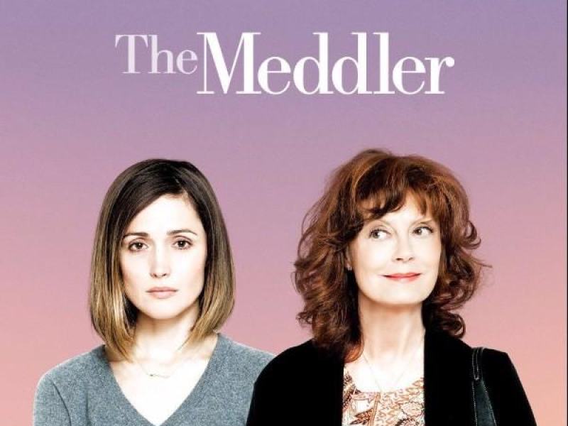 The Meddler