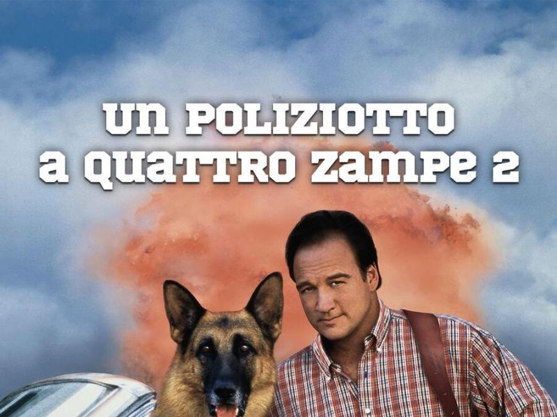 Un poliziotto a quattro zampe 2