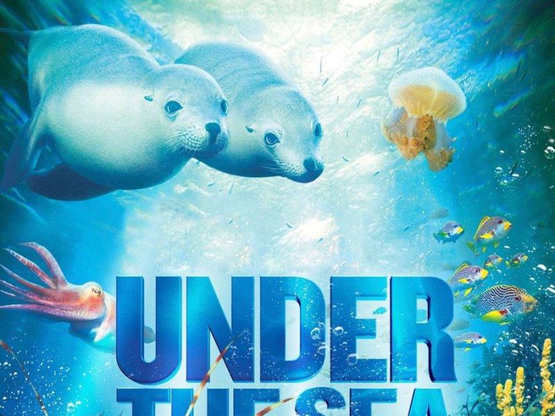 Under the sea